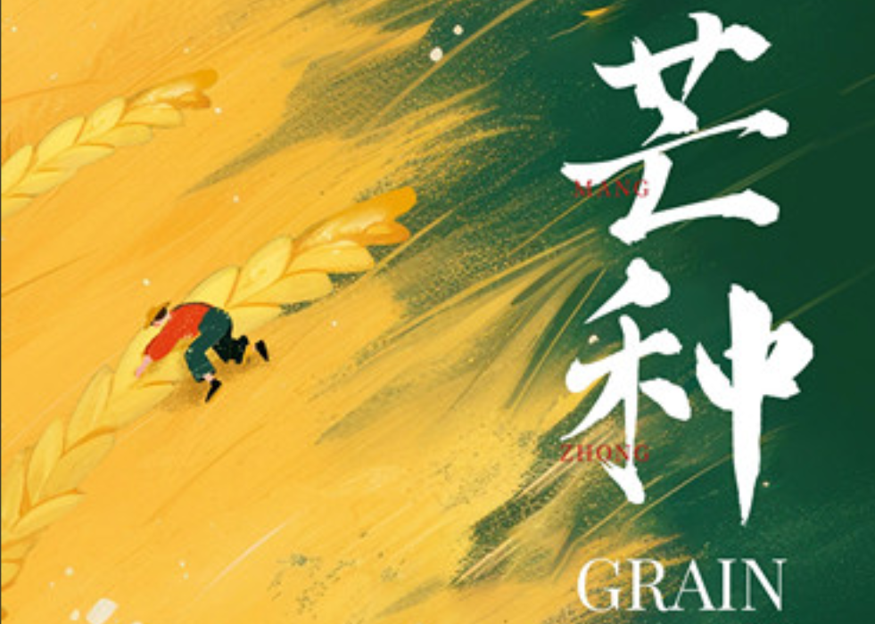 芒种：耕谷农收，岁时和丰
