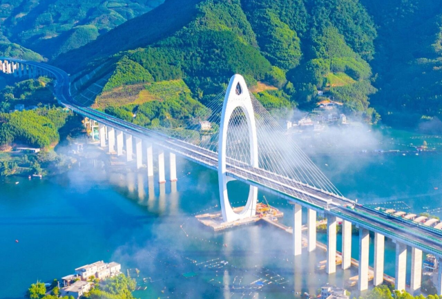 今日立夏 | 向阳而立迎盛夏，向上向新向云端！